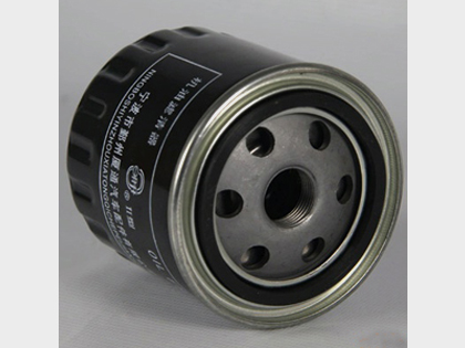 Citroen Oil Filter from China
