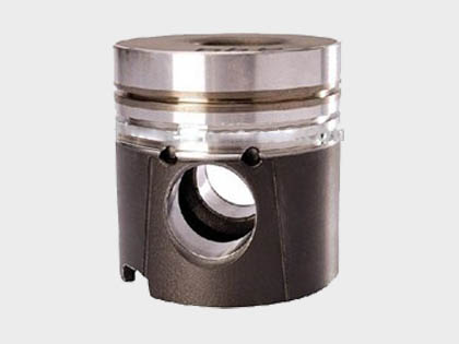 ROVER Piston from China
